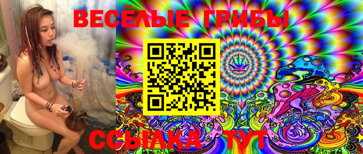 Галлюциногенные грибы Psilocybine cubensis  Вход с VPN  Нефтекамск 